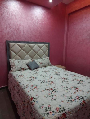 Furnished apartment close to the city center